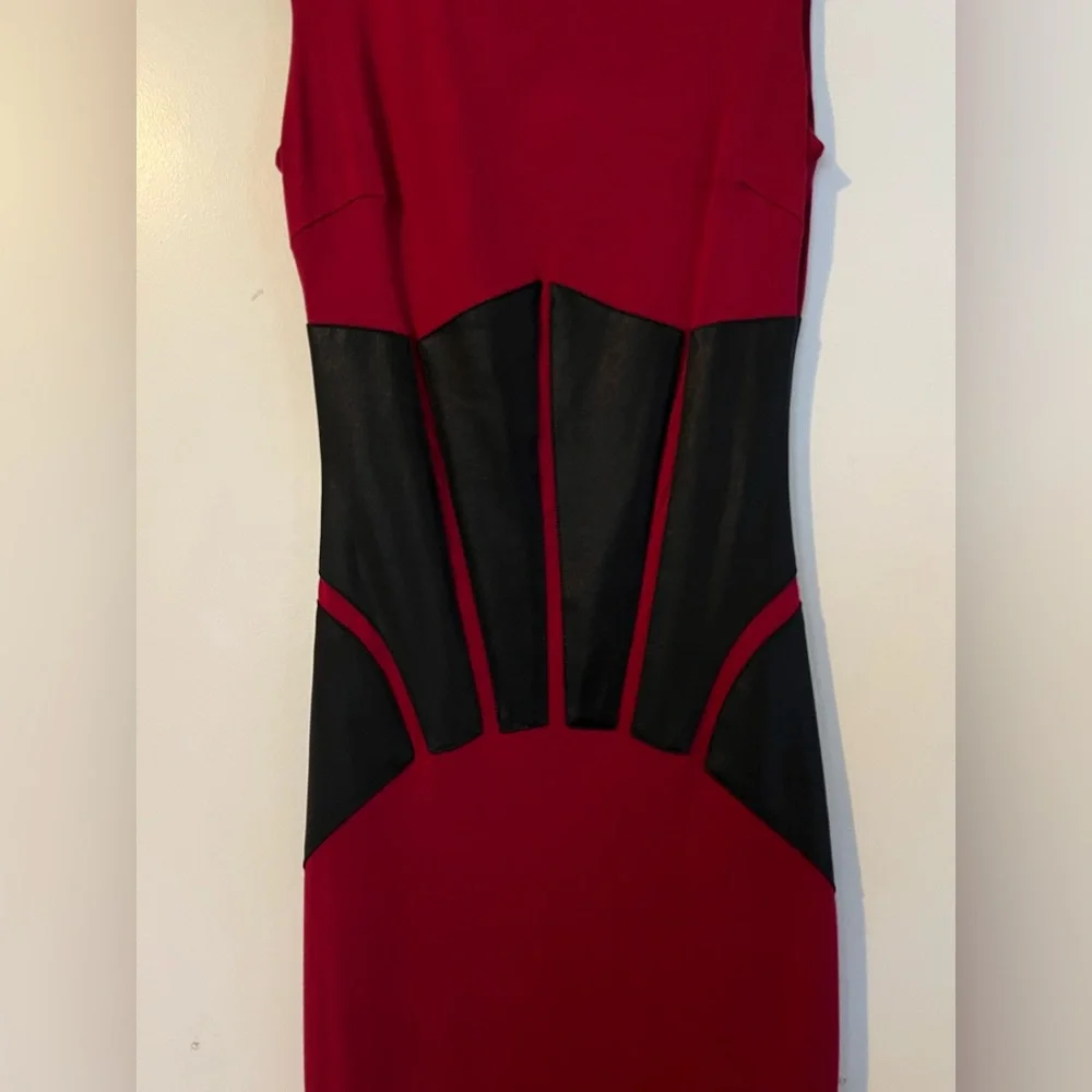 Bebe Dress - Picture 3 of 5